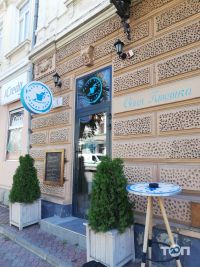 Blue Bird coffee shop, кофейня фото