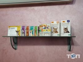 TopVet Луцьк відгуки фото