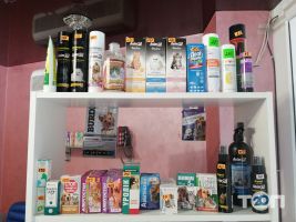 Top Vet, ветеринарна клініка - фото 9