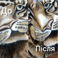 Прачечные, химчистки Чисто Татиос фото