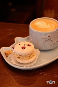 Котейня Муркит Тернополь фото