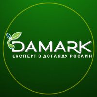 Damark, експерт з догляду рослин фото