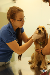 Animal Clinic, ветеринарний центр - фото 10