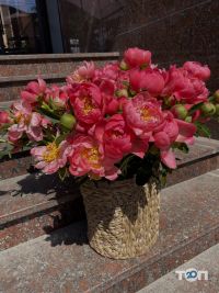 Wow Цветы by Kristina Shportun Кропивницкий отзывы фото