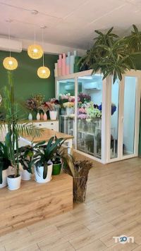 Moss Flowers cafe, квітковий магазин фото