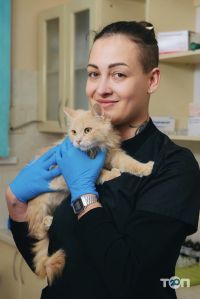 компания Вет-Эксперт фото