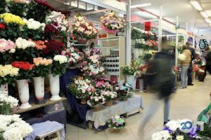 відгуки про Sykhiv фото