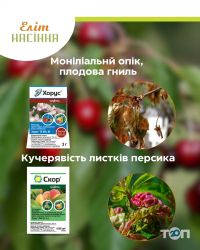 компанія Еліт насіння фото