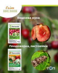 відгуки про Еліт насіння фото