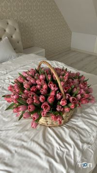 Troyanda flowers, сеть магазинов цветов - фото 9