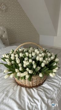 Troyanda flowers, сеть магазинов цветов - фото 8