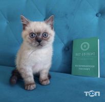 компанія Вет-Експерт фото