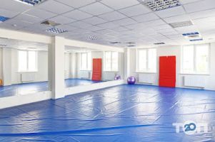 Silver Studio відгуки фото