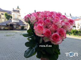 Роза, доставка квітів фото