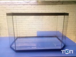 Worldfish, магазин для акваріумістів фото