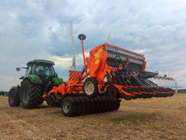 Фаворит отзывы фото