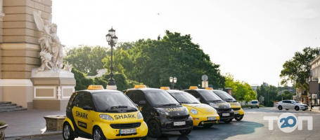 Shark Taxi Київ фото