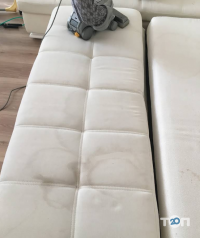 Сервіс Чистоти, клінінгова компанія фото