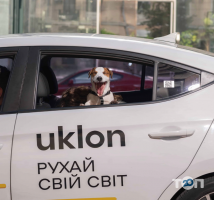 Uklon, мобільний додаток для замовлення таксі фото