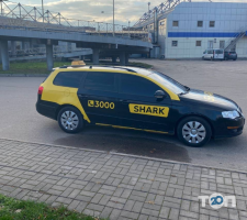 Shark Taxi фото