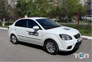 Автошколы Мустанг фото