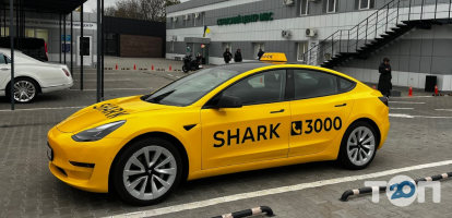 Shark Taxi Харків фото
