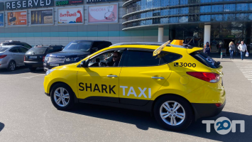 Таксі Shark Taxi фото