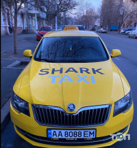 Shark Taxi відгуки фото