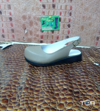 Мудрий Кропивницький фото