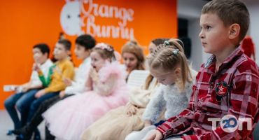 Orange bunny Полтава фото