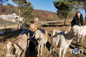 Екоферма «Веселі козенята» відгуки фото