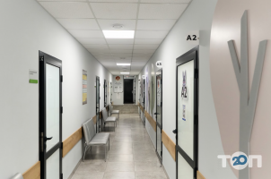 отзывы о Инномед фото