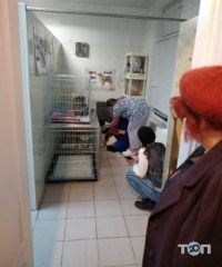 Ветеринарные клиники Ветеринарная клиника доктора Бугаева фото