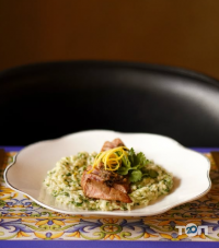 Centrale відгуки фото