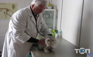 Ветеринарная клиника доктора Бугаева Киев фото