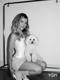 Lulu Dog, грумінг готель фото
