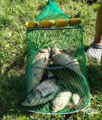 У Григорія, база відпочинку - фото 10