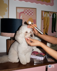 Lulu Dog відгуки фото