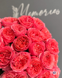 отзывы о Memories Flowers фото