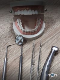 Leo Dental отзывы фото