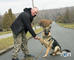 Train Your Dog, кінологічний центр фото