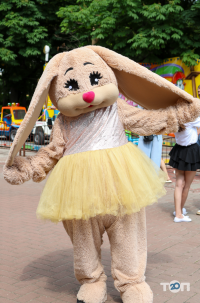 Дендропарк Кропивницкий Кропивницкий отзывы фото