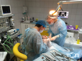 Стоматологии Студия микроскопной стоматологии Кузенко фото
