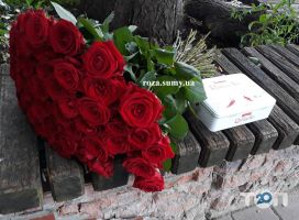 Магазини квітів Роза фото