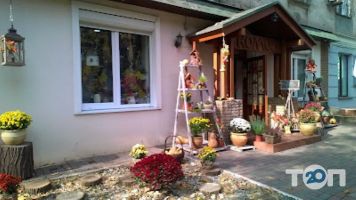 Сувенірні магазини КОМОД фото