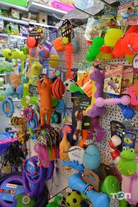 Zooлогія отзывы фото