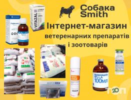 Собака Smith, онлайн ветаптека фото