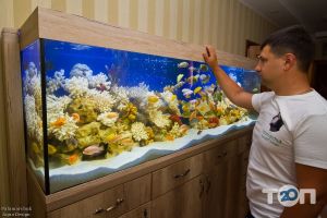 Palamarchuk Aqua Design Вінниця відгуки Palamarchuk Aqua Design Вінниця відгуки фото