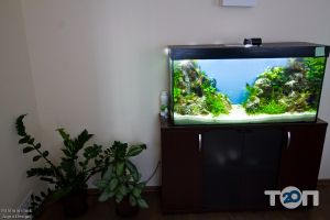 Palamarchuk Aqua Design, студія акваріумів - фото 8 Palamarchuk Aqua Design, студія акваріумів - фото 8