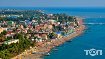 Фламинго отзывы фото